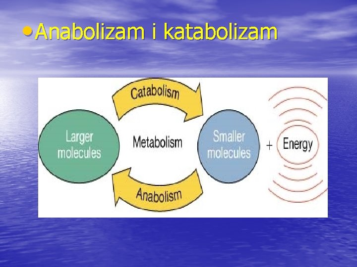  • Anabolizam i katabolizam 