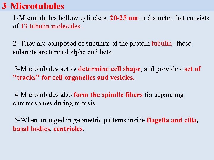 3 -Microtubules 1 -Microtubules hollow cylinders, 20 -25 nm in diameter that consists of