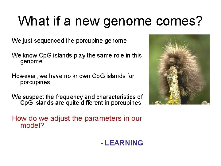 What if a new genome comes? We just sequenced the porcupine genome We know