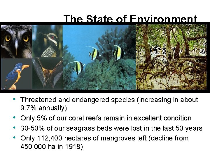 The State of Environment • Threatened and endangered species (increasing in about • •