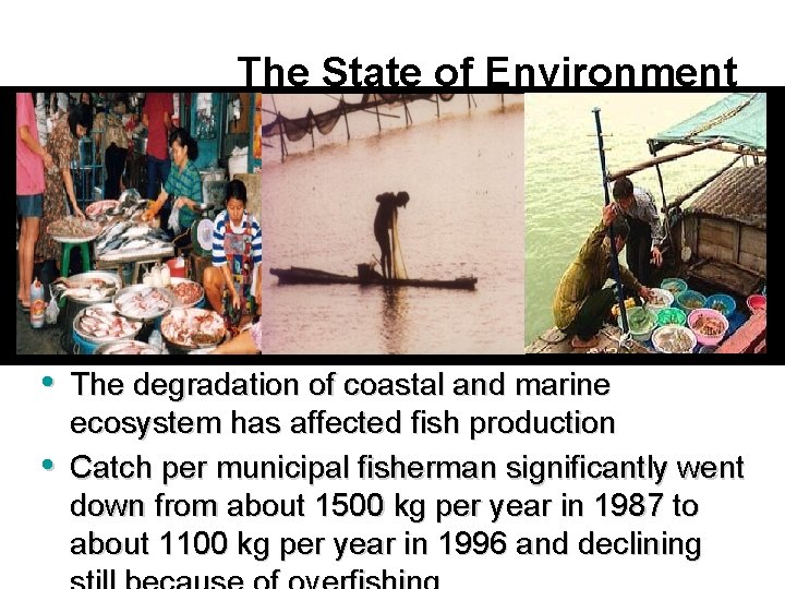 The State of Environment • The degradation of coastal and marine • ecosystem has