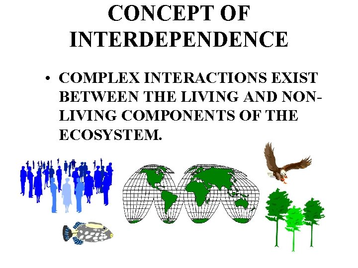 CONCEPT OF INTERDEPENDENCE • COMPLEX INTERACTIONS EXIST BETWEEN THE LIVING AND NONLIVING COMPONENTS OF