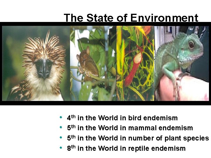 The State of Environment • • 4 th in the World in bird endemism