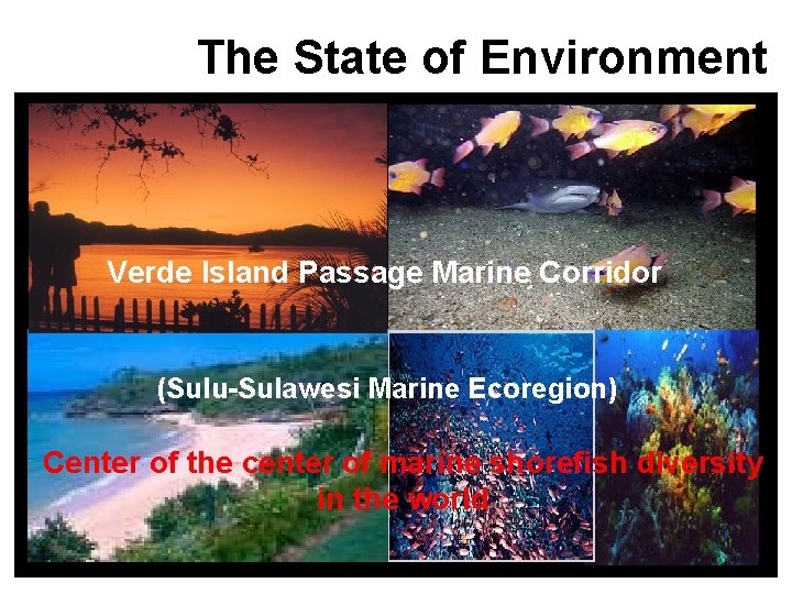 The State of Environment Verde Island Passage Marine Corridor (Sulu-Sulawesi Marine Ecoregion) Center of