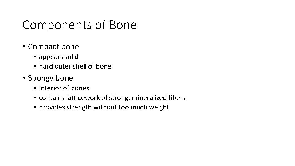 Components of Bone • Compact bone • appears solid • hard outer shell of