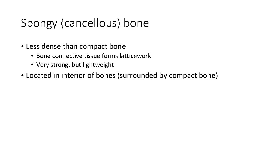 Spongy (cancellous) bone • Less dense than compact bone • Bone connective tissue forms