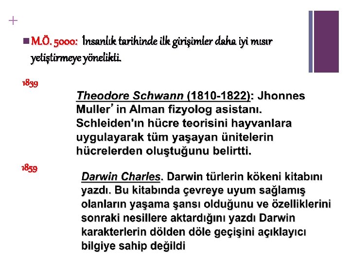 + n M. Ö. 5000: İnsanlık tarihinde ilk girişimler daha iyi mısır yetiştirmeye yönelikti.