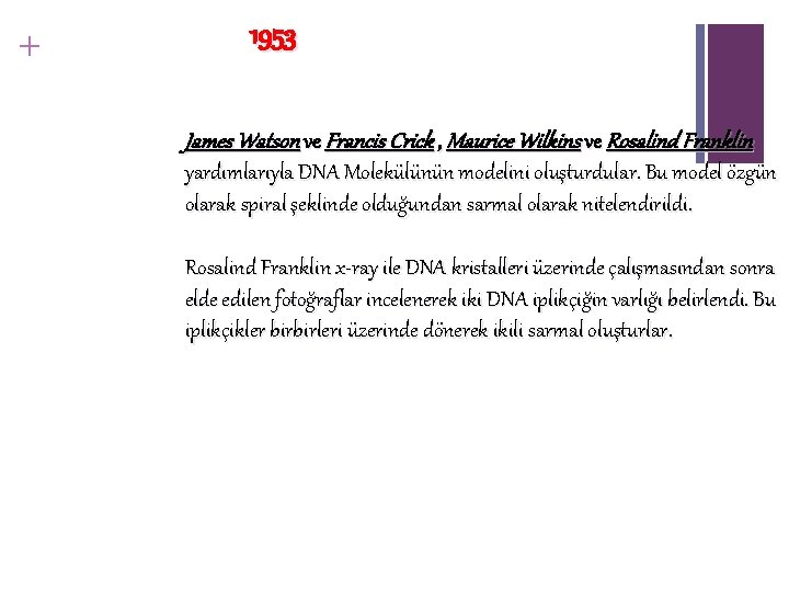 + 1953 James Watson ve Francis Crick , Maurice Wilkins ve Rosalind Franklin yardımlarıyla