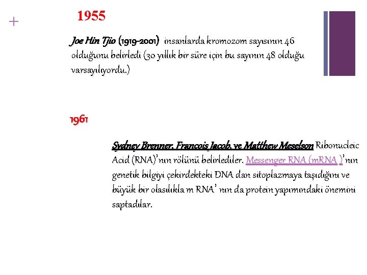 + 1955 Joe Hin Tjio (1919 -2001) insanlarda kromozom sayısının 46 olduğunu belirledi (30