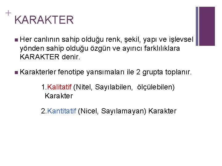 + KARAKTER n Her canlının sahip olduğu renk, şekil, yapı ve işlevsel yönden sahip