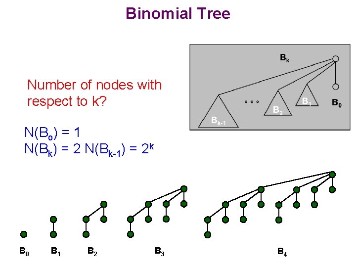 Binomial Tree Number of nodes with respect to k? N(Bo) = 1 N(Bk) =