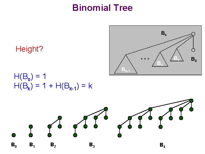 Binomial Tree Height? H(Bo) = 1 H(Bk) = 1 + H(Bk-1) = k B