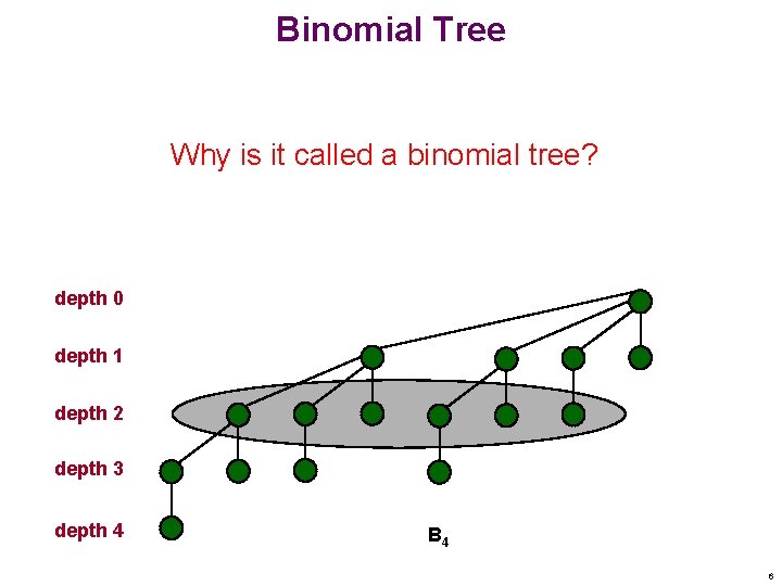 Binomial Tree Why is it called a binomial tree? depth 0 depth 1 depth