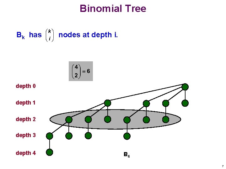 Binomial Tree Bk has nodes at depth i. depth 0 depth 1 depth 2