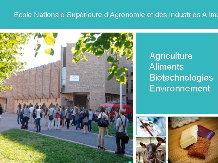 Ecole Nationale Supérieure d’Agronomie et des Industries Alime § Agriculture §Aliments §Biotechnologies §Environnement Présentation