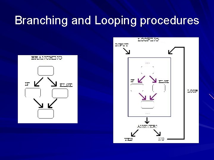Branching and Looping procedures 