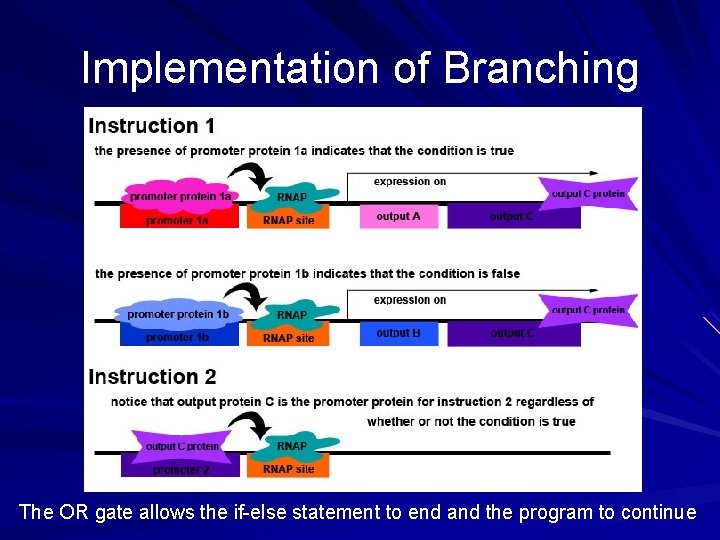 Implementation of Branching The OR gate allows the if-else statement to end and the