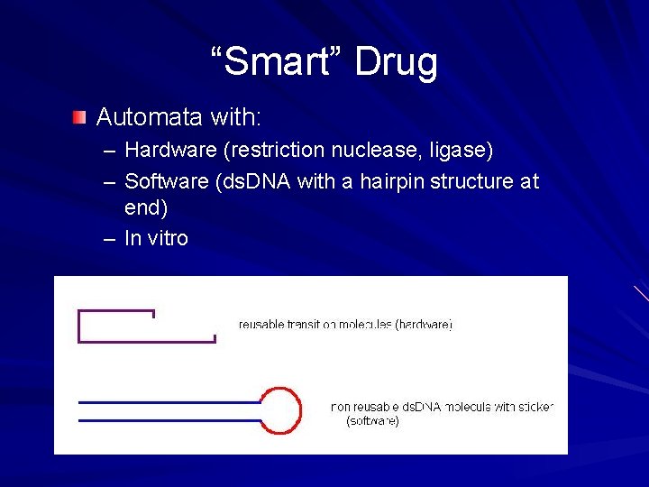 “Smart” Drug Automata with: – Hardware (restriction nuclease, ligase) – Software (ds. DNA with