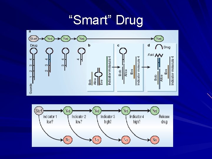 “Smart” Drug 