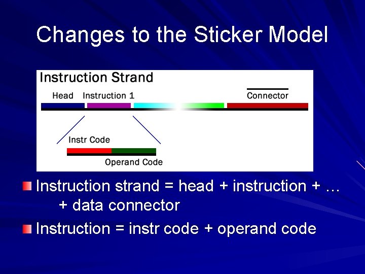 Changes to the Sticker Model Instruction strand = head + instruction + … +