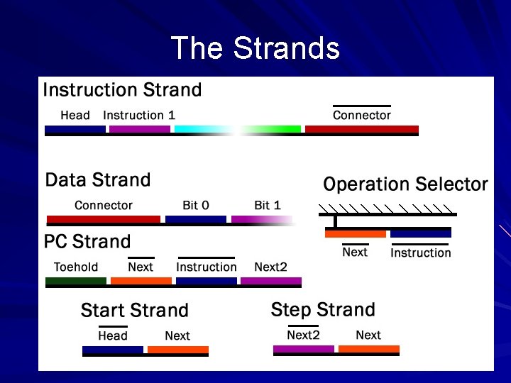 The Strands 