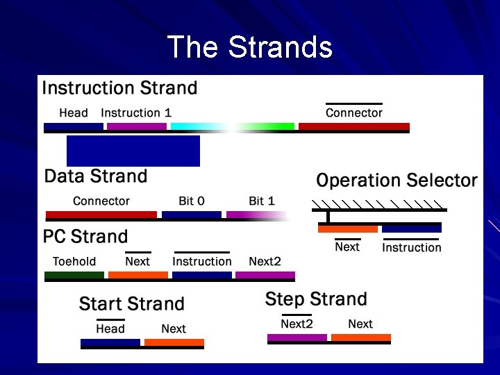 The Strands 