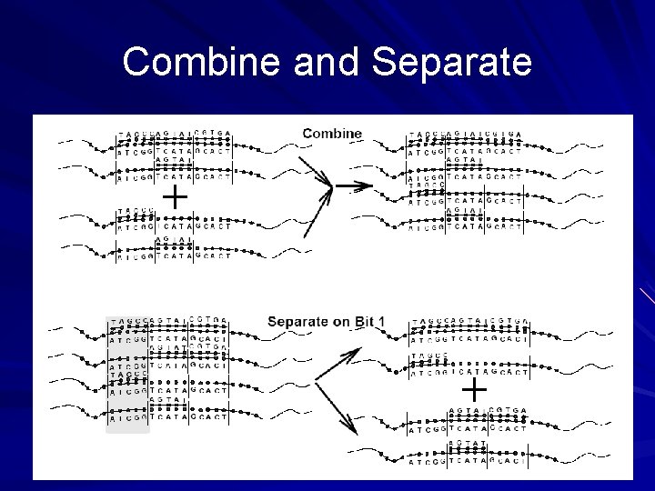 Combine and Separate 