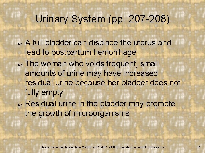 Urinary System (pp. 207 -208) A full bladder can displace the uterus and lead