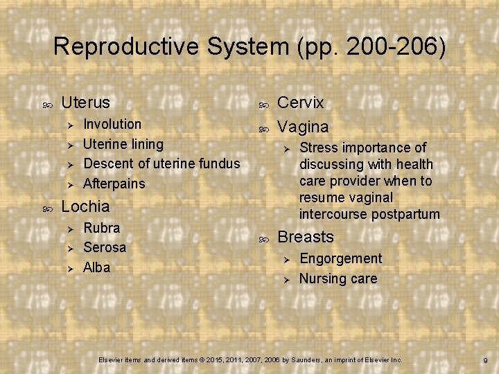 Reproductive System (pp. 200 -206) Uterus Ø Ø Involution Uterine lining Descent of uterine