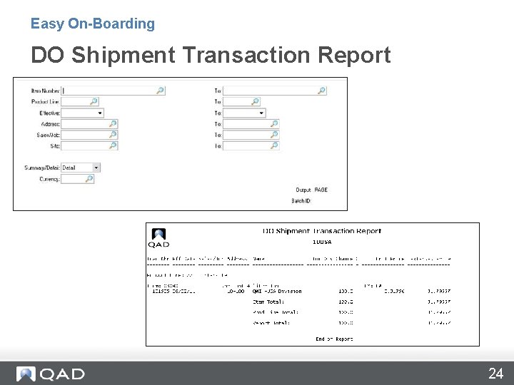 Easy On-Boarding DO Shipment Transaction Report 24 