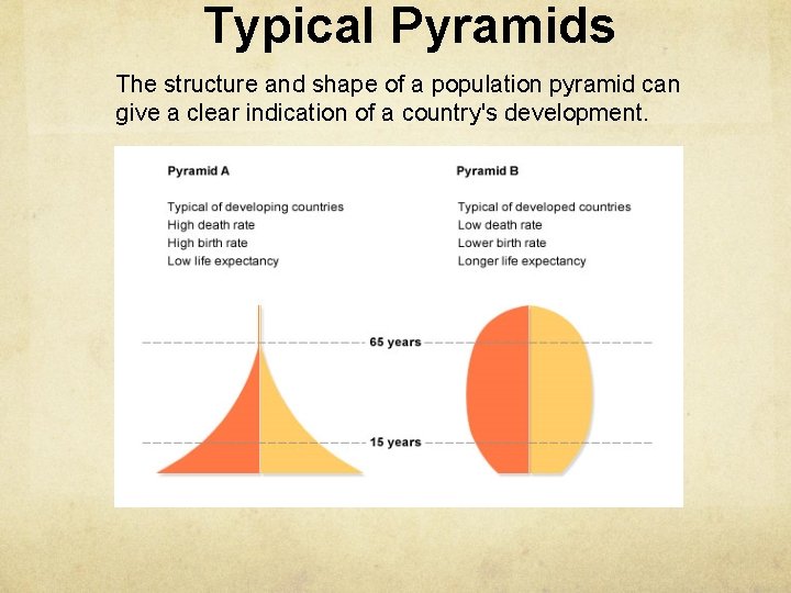 Typical Pyramids The structure and shape of a population pyramid can give a clear