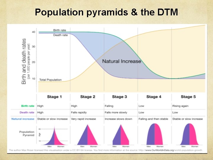 Population pyramids & the DTM 