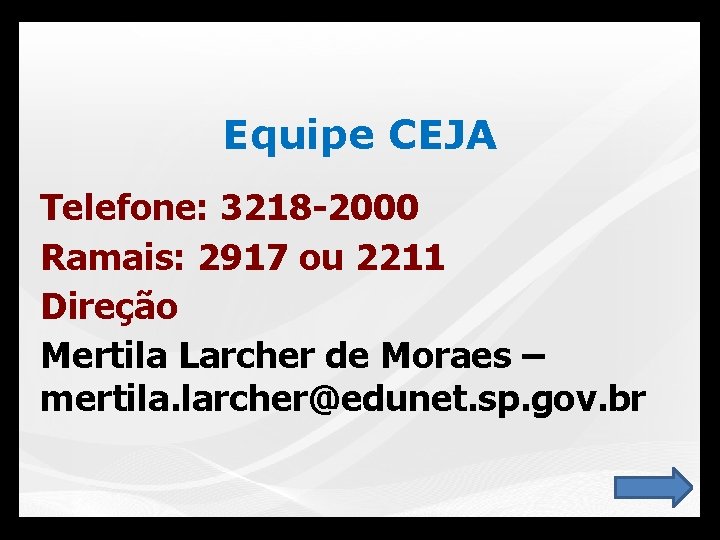 Equipe CEJA Telefone: 3218 -2000 Ramais: 2917 ou 2211 Direção Mertila Larcher de Moraes