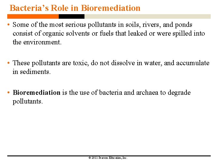 Bacteria’s Role in Bioremediation • Some of the most serious pollutants in soils, rivers,