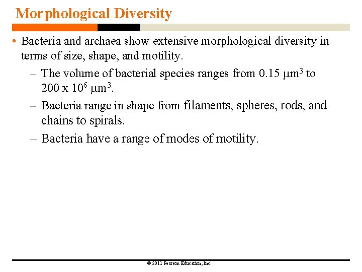 Morphological Diversity • Bacteria and archaea show extensive morphological diversity in terms of size,