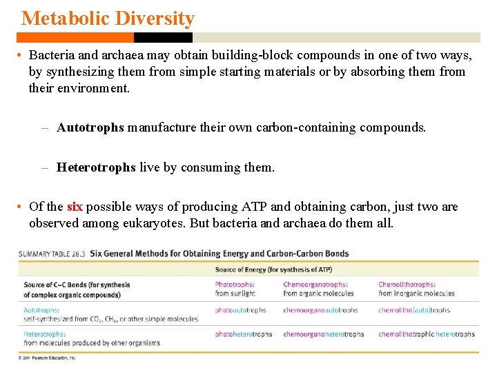 Metabolic Diversity • Bacteria and archaea may obtain building-block compounds in one of two