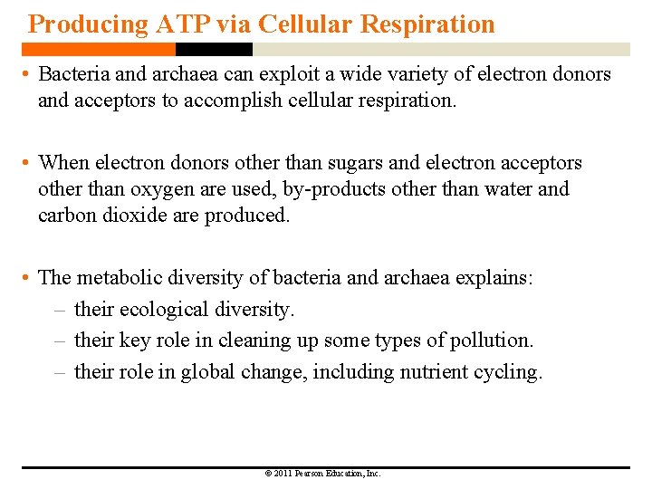 Producing ATP via Cellular Respiration • Bacteria and archaea can exploit a wide variety