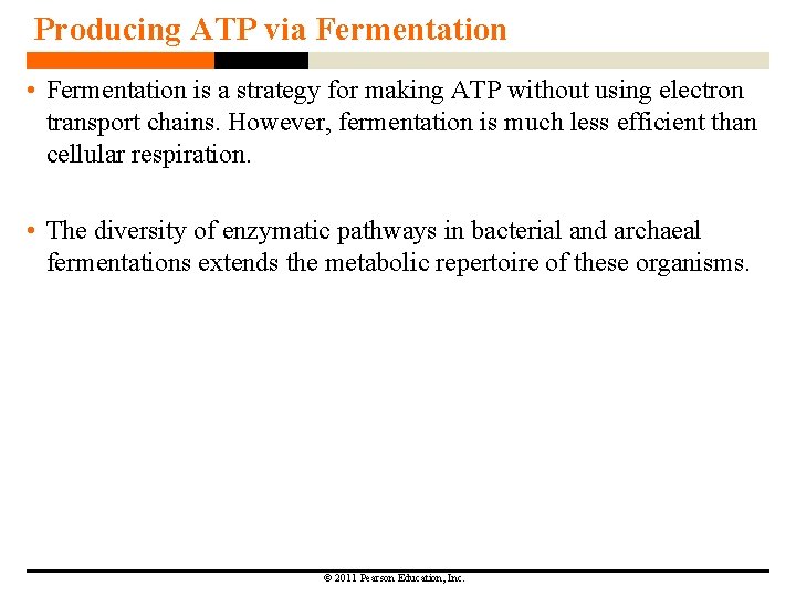 Producing ATP via Fermentation • Fermentation is a strategy for making ATP without using