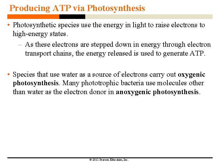 Producing ATP via Photosynthesis • Photosynthetic species use the energy in light to raise