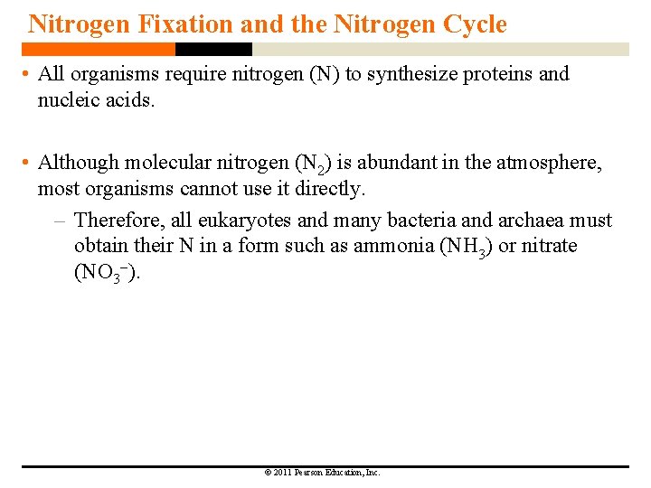 Nitrogen Fixation and the Nitrogen Cycle • All organisms require nitrogen (N) to synthesize