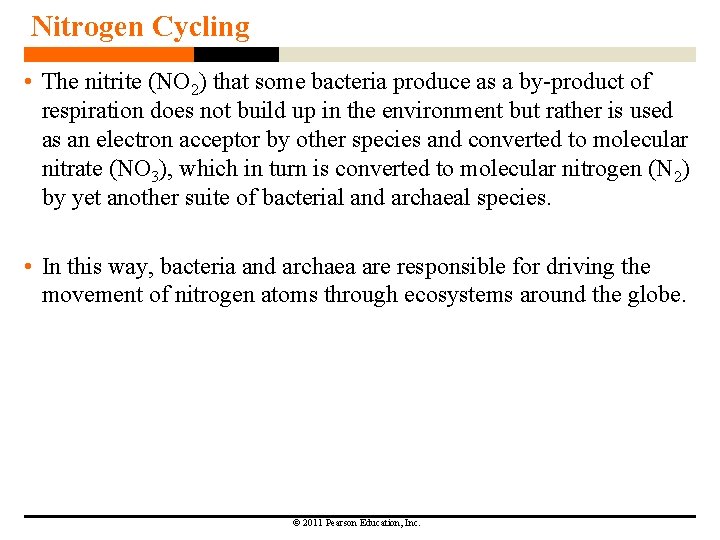 Nitrogen Cycling • The nitrite (NO 2) that some bacteria produce as a by-product