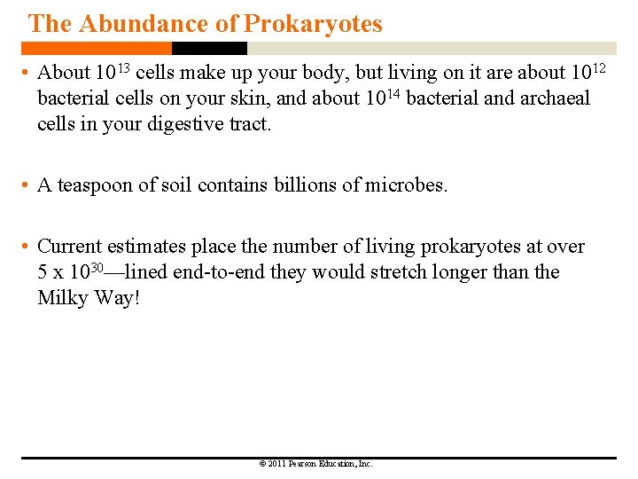 The Abundance of Prokaryotes • About 1013 cells make up your body, but living