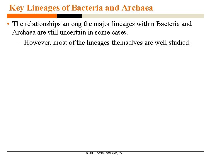 Key Lineages of Bacteria and Archaea • The relationships among the major lineages within