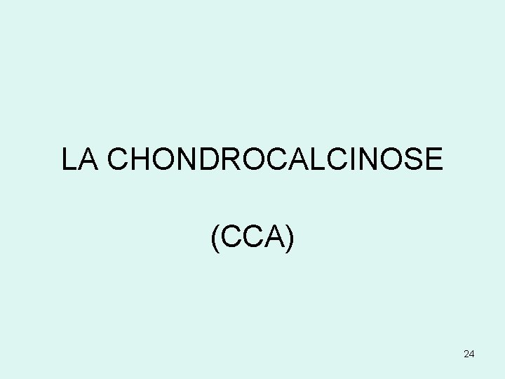LA CHONDROCALCINOSE (CCA) 24 