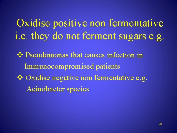 Oxidise positive non fermentative i. e. they do not ferment sugars e. g. v