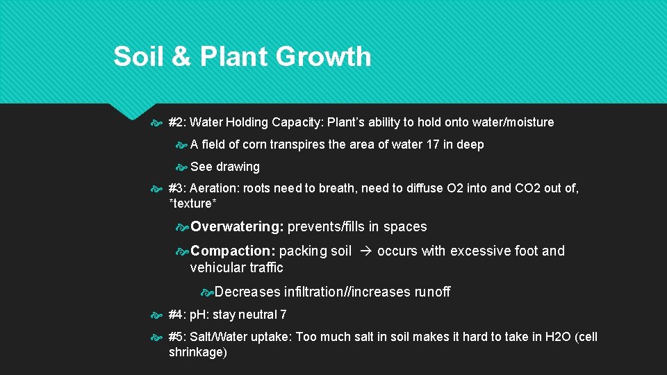 Soil & Plant Growth #2: Water Holding Capacity: Plant’s ability to hold onto water/moisture