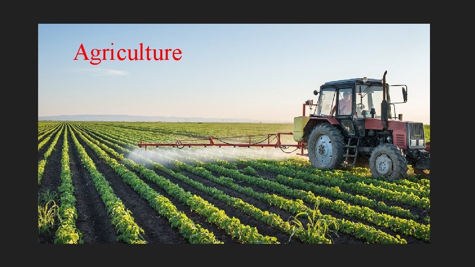 Agriculture 