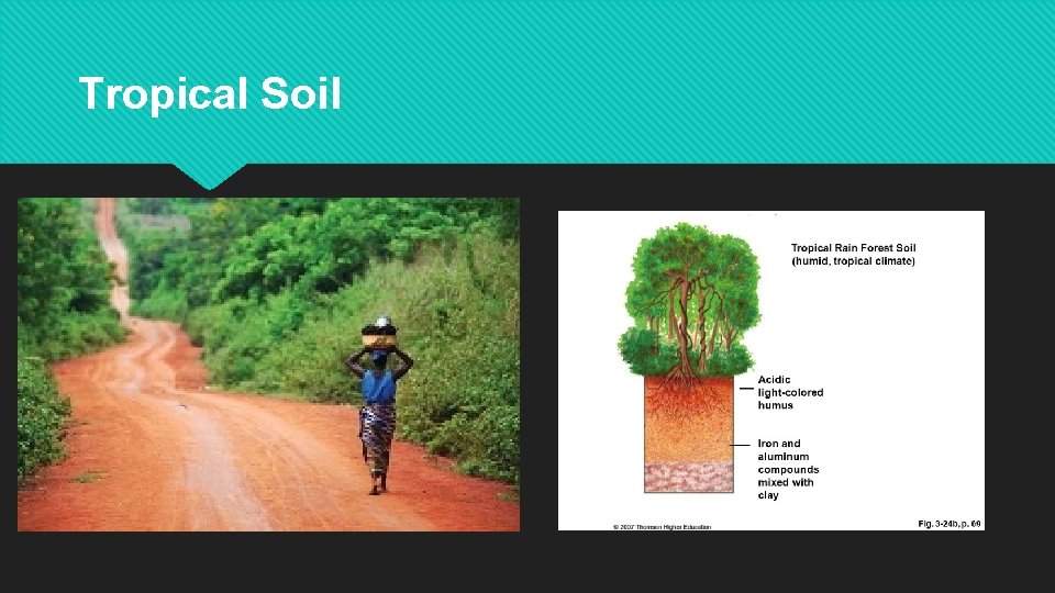 Tropical Soil 