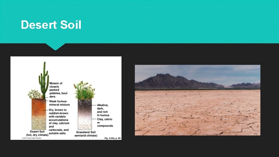 Desert Soil 