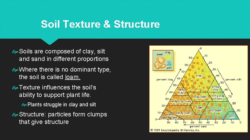 Soil Texture & Structure Soils are composed of clay, silt and sand in different